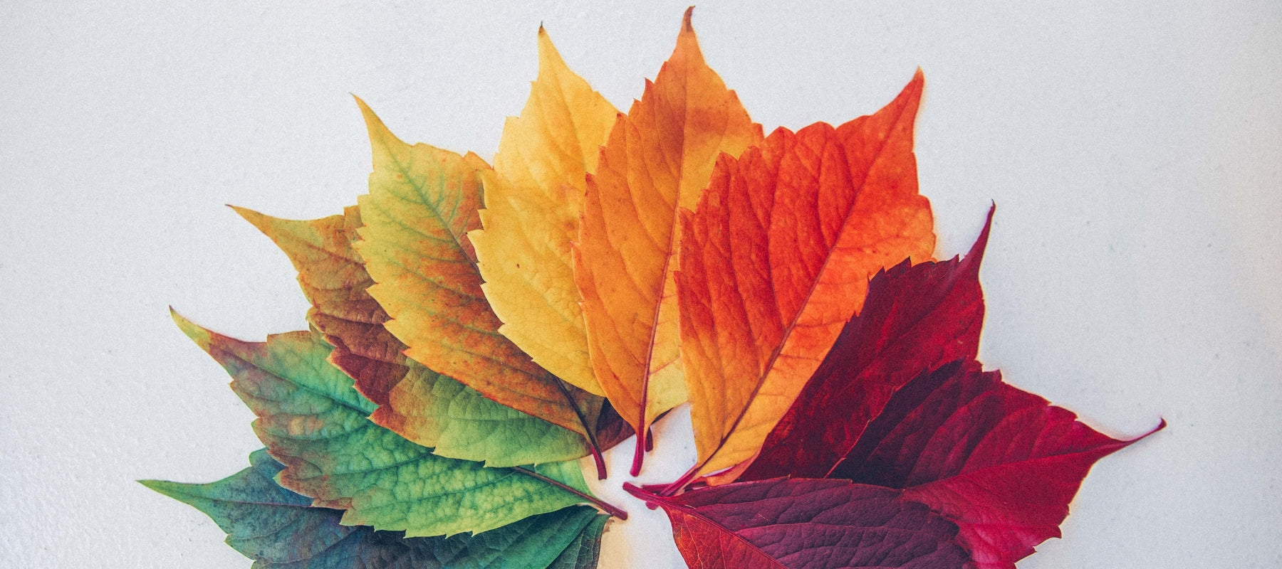 Préparez votre peau aux changements de saisons
